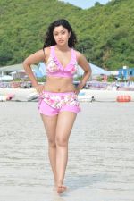 Payal Ghosh (Harika) in Bikini Swimwear Photoshoot on 30th May 2010 (53).JPG